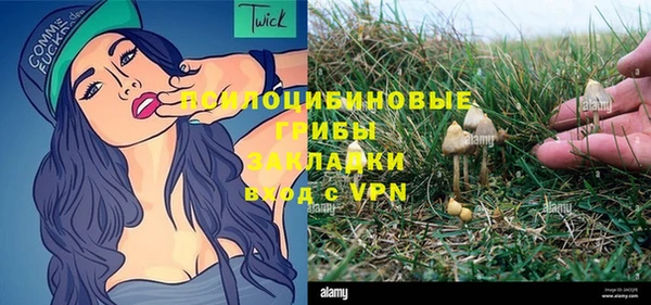бошки Кинешма